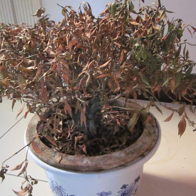 家里有这5种物品一定要尽早处理掉！pg电子入口俗话说：“财不入脏屋”(图3)